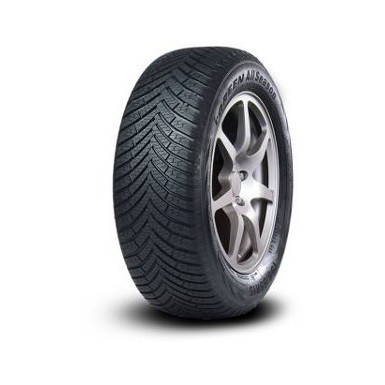 225 r19 leao - leao, igreen